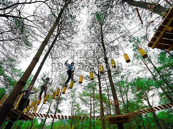 叢林穿越設備的搭建對環(huán)境有影響嗎？